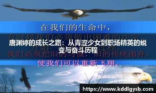 多宝体育官网入口