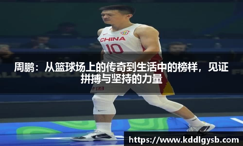 多宝体育官网入口