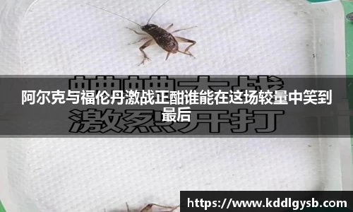 阿尔克与福伦丹激战正酣谁能在这场较量中笑到最后